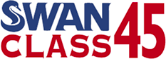 Swan 45